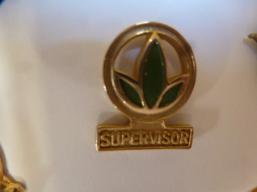 Pin herbalife supervisor - pin,